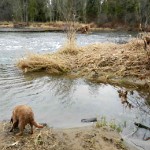 West Daybreak Stream Channel