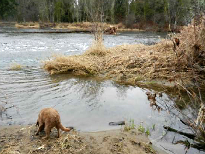 West Daybreak Stream Channel West Daybreak Stream Channel